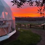Melograno Bubble Glamping Vasanello