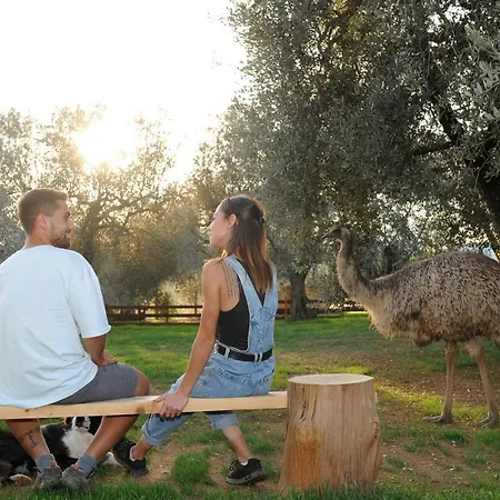Melograno Bubble Glamping Tente de luxe