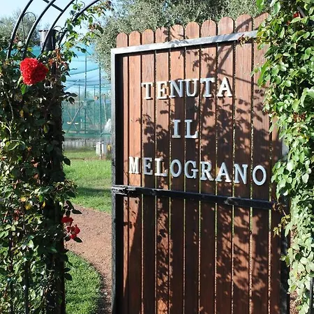 Lyxtält Melograno Bubble Glamping