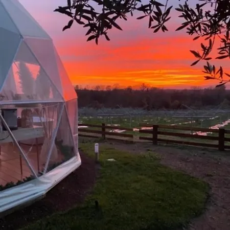 Melograno Bubble Glamping Vasanello