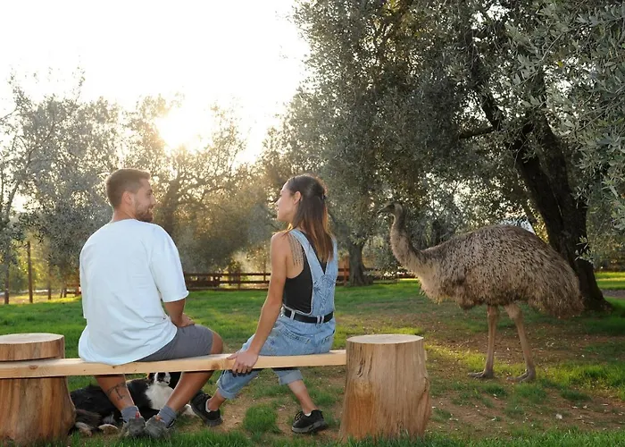 Melograno Bubble Glamping Οργανωμένο κάμπινγκ