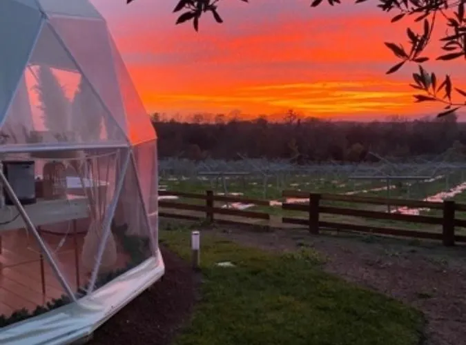 Melograno Bubble Glamping Vasanello